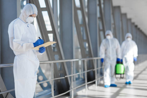 Professional Mold Removal in Oostburg, WI