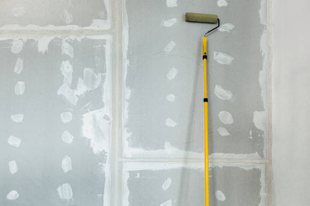 Dehumidification Services in Oostburg, WI