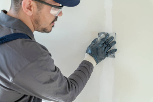 Best Biohazard Mold Removal  in Oostburg, WI