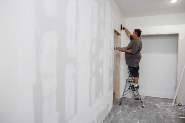 Best Industrial Mold Remediation  in Oostburg, WI