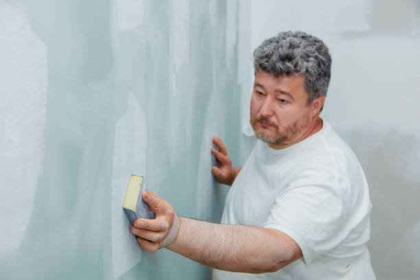 Best Air Quality Testing for Mold Spores  in Oostburg, WI