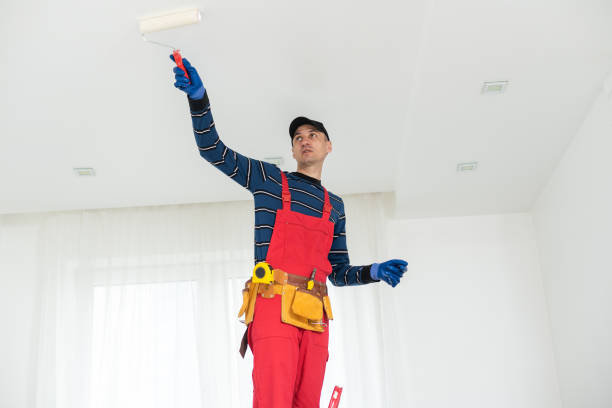 Best HVAC Mold Inspection and Cleaning  in Oostburg, WI