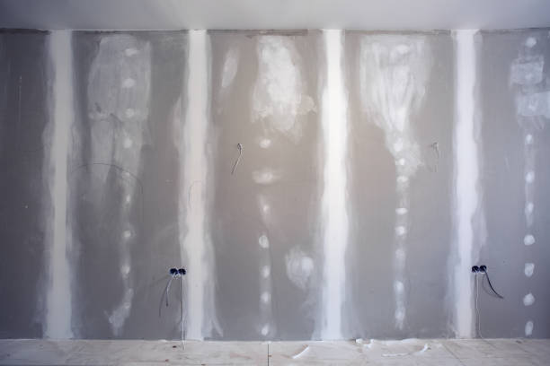 Best Dehumidification Services  in Oostburg, WI